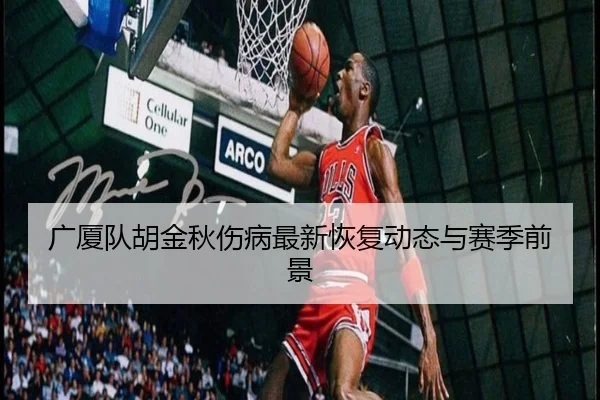 广厦队胡金秋伤病最新恢复动态与赛季前景